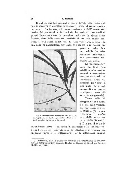 Natura rivista mensile di scienze naturali