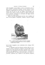 giornale/VEA0038128/1923/unico/00000121
