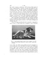 giornale/VEA0038128/1923/unico/00000124