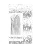 giornale/VEA0038128/1923/unico/00000132