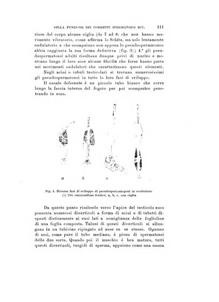 Natura rivista mensile di scienze naturali