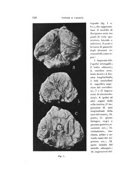 Natura rivista mensile di scienze naturali