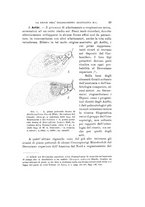 giornale/VEA0038128/1924/unico/00000063