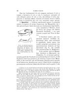 giornale/VEA0038128/1924/unico/00000072