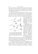 giornale/VEA0038128/1924/unico/00000078