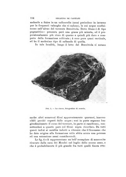 Natura rivista mensile di scienze naturali