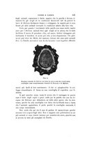 giornale/VEA0038128/1924/unico/00000163