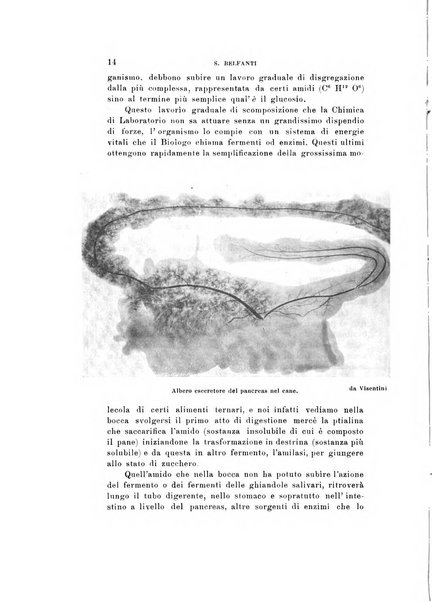 Natura rivista mensile di scienze naturali