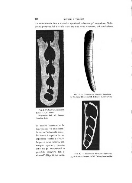 Natura rivista mensile di scienze naturali