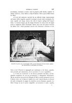 giornale/VEA0038128/1925/unico/00000159