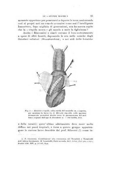 Natura rivista mensile di scienze naturali