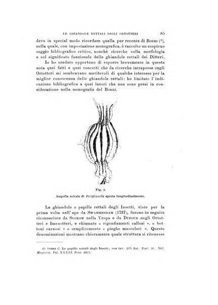 Natura rivista mensile di scienze naturali