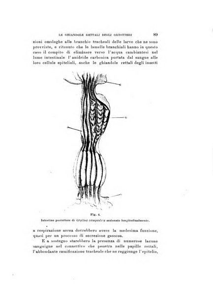 Natura rivista mensile di scienze naturali