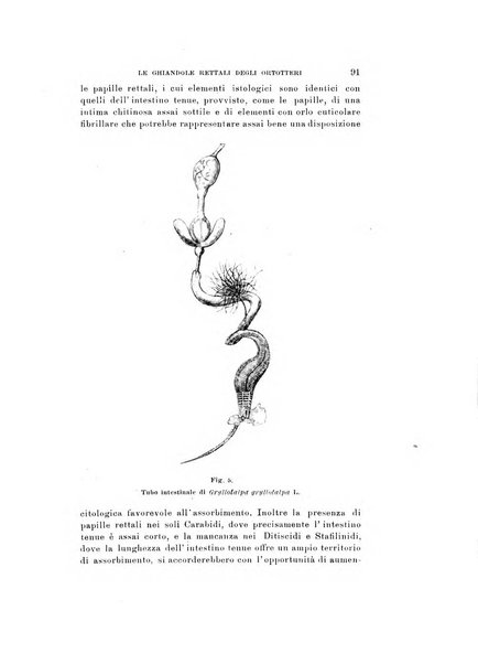 Natura rivista mensile di scienze naturali