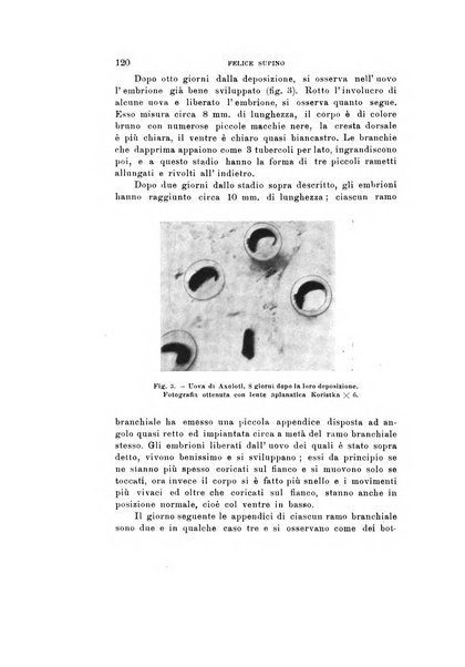 Natura rivista mensile di scienze naturali