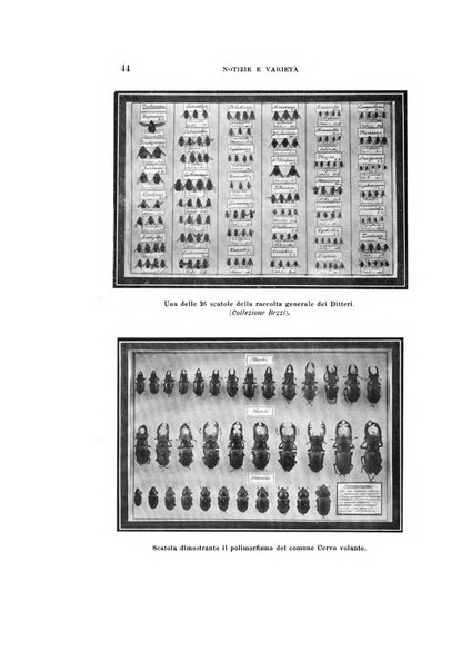 Natura rivista mensile di scienze naturali