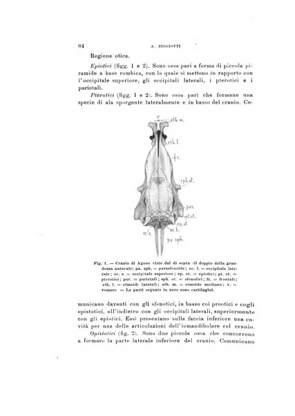 Natura rivista mensile di scienze naturali