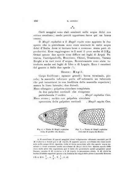 Natura rivista mensile di scienze naturali