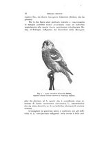 giornale/VEA0038128/1929/unico/00000020