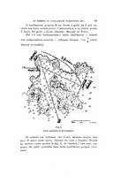 giornale/VEA0038128/1929/unico/00000081