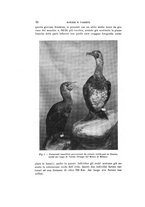 giornale/VEA0038128/1929/unico/00000088