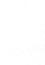 giornale/VEA0038128/1929/unico/00000091