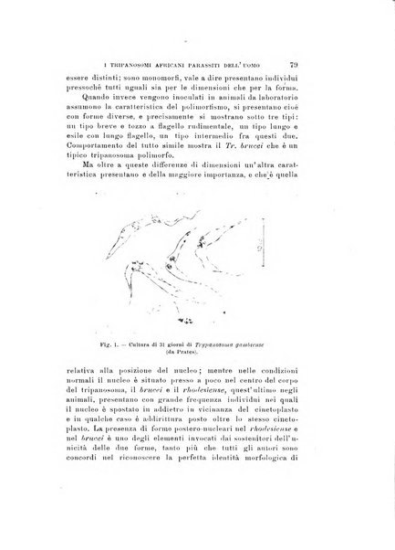 Natura rivista mensile di scienze naturali