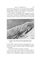 giornale/VEA0038128/1929/unico/00000139