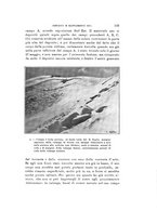 giornale/VEA0038128/1929/unico/00000141