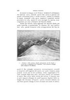 giornale/VEA0038128/1929/unico/00000146