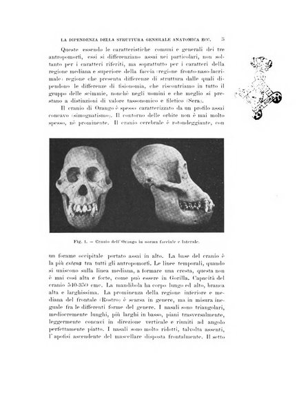 Natura rivista mensile di scienze naturali