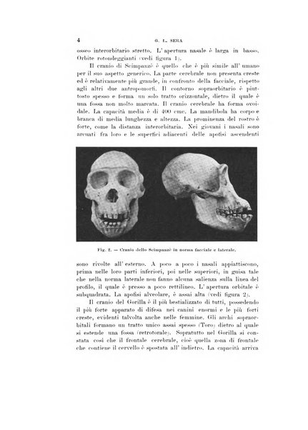 Natura rivista mensile di scienze naturali