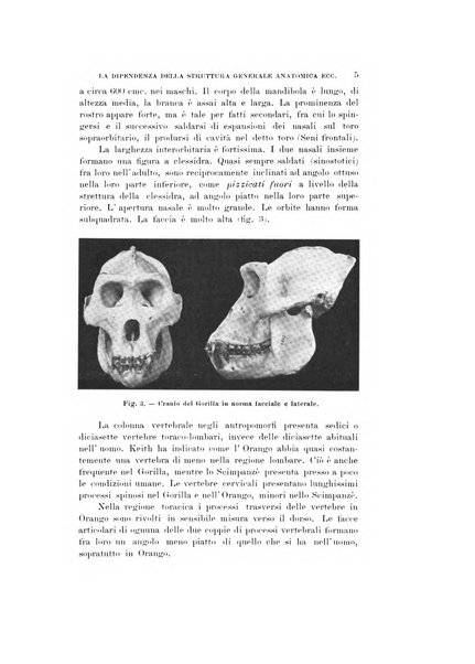 Natura rivista mensile di scienze naturali