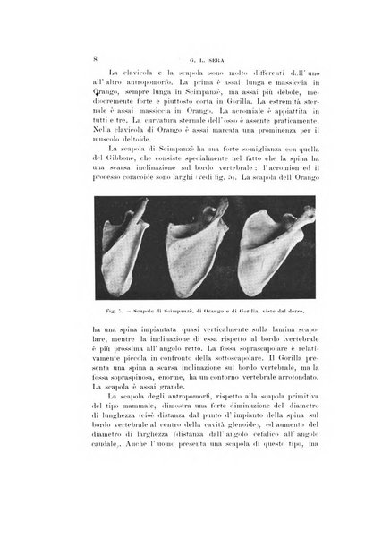 Natura rivista mensile di scienze naturali