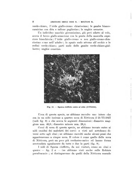 Natura rivista mensile di scienze naturali