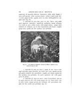 giornale/VEA0038128/1931/unico/00000022