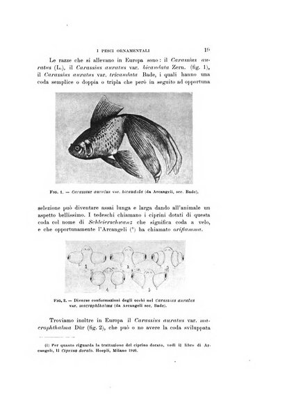 Natura rivista mensile di scienze naturali