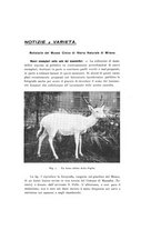 giornale/VEA0038128/1931/unico/00000181