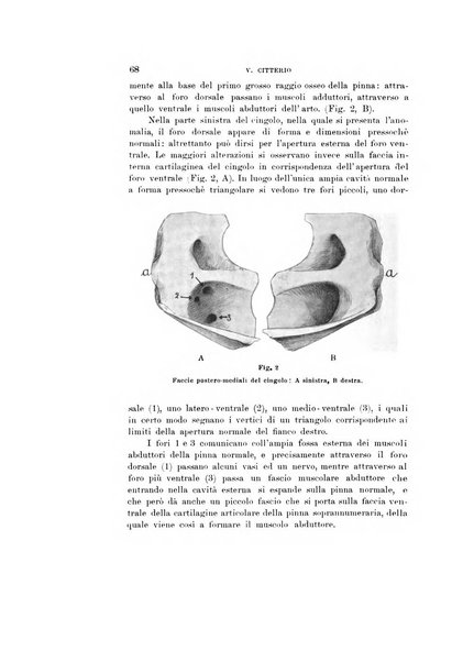 Natura rivista mensile di scienze naturali