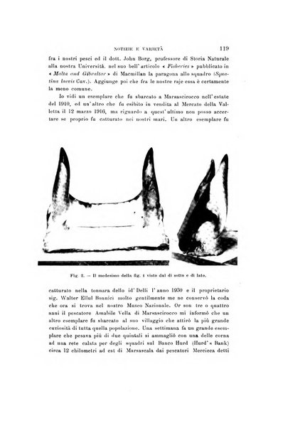 Natura rivista mensile di scienze naturali