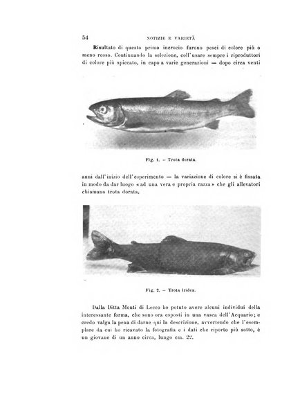 Natura rivista mensile di scienze naturali