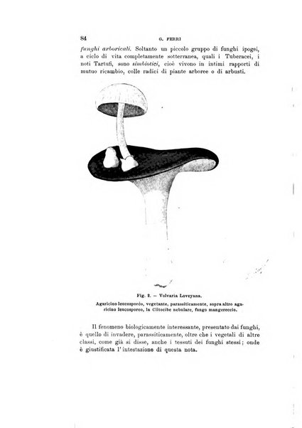 Natura rivista mensile di scienze naturali