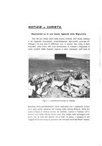 giornale/VEA0038128/1933/unico/00000106