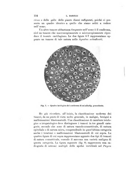 Natura rivista mensile di scienze naturali