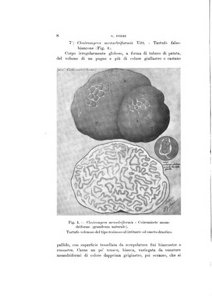 Natura rivista mensile di scienze naturali