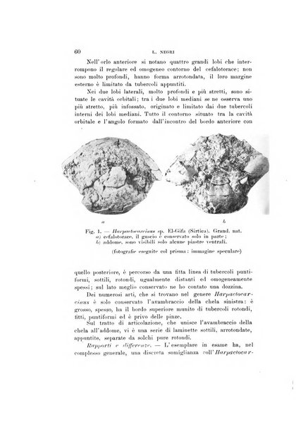 Natura rivista mensile di scienze naturali