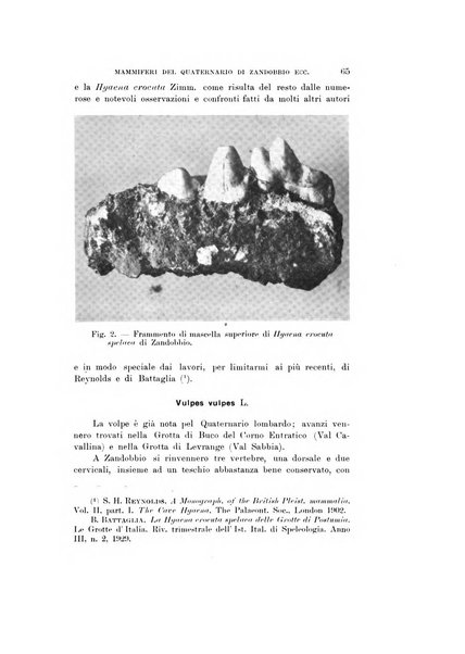 Natura rivista mensile di scienze naturali