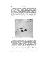 giornale/VEA0038128/1934/unico/00000122