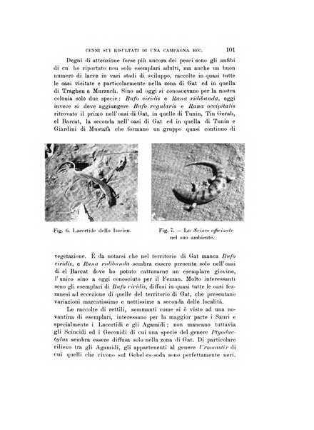 Natura rivista mensile di scienze naturali