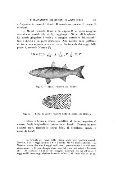 Natura rivista mensile di scienze naturali